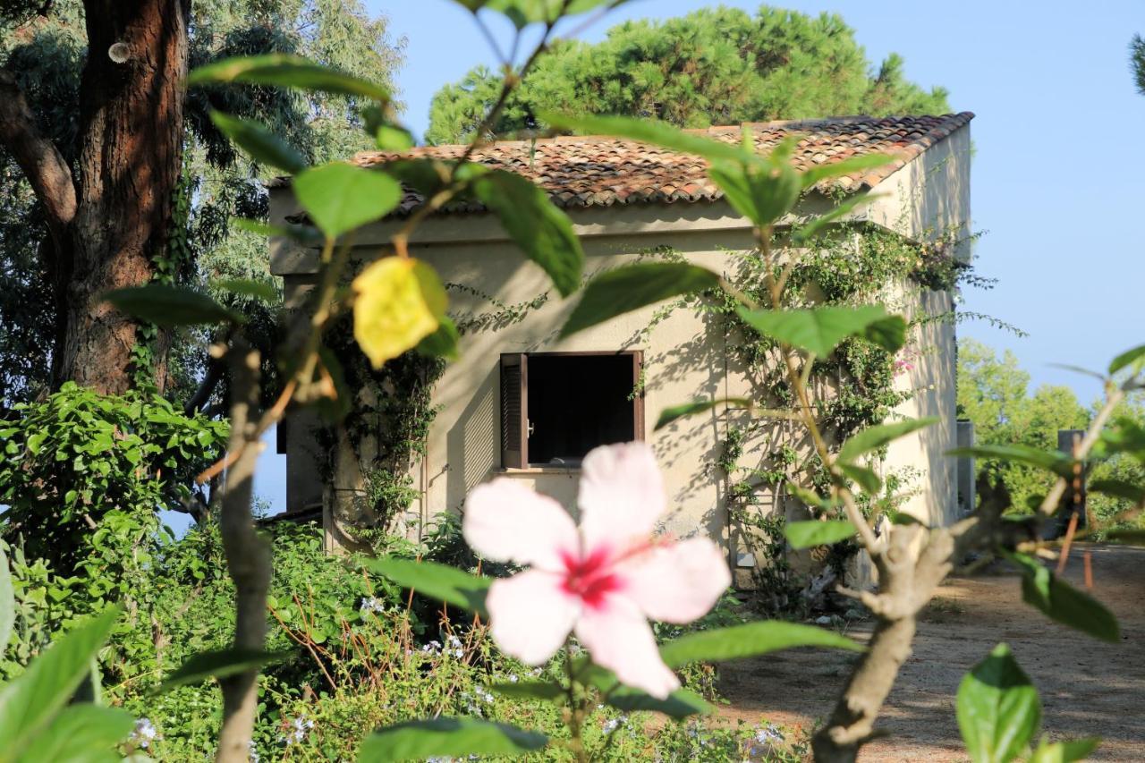 Case Di Berto Capo Vaticano Buitenkant foto