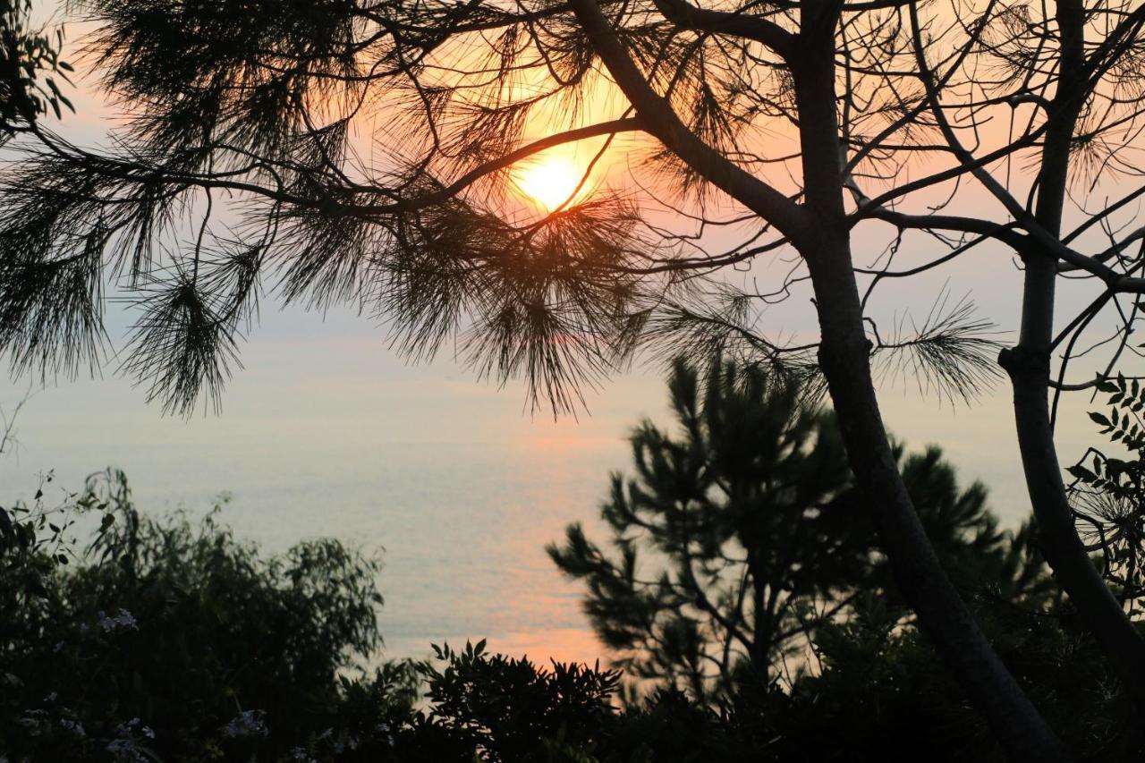 Case Di Berto Capo Vaticano Buitenkant foto